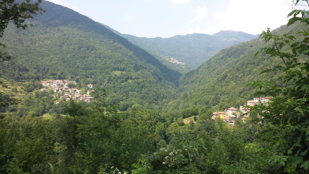 Willa Casa Delle Noci Grimacco Pokój zdjęcie